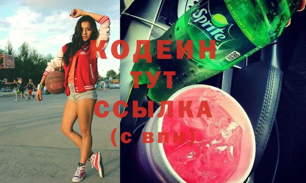 бошки Инта