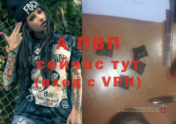 гашик Иннополис