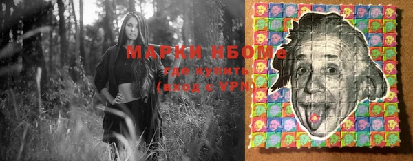 бошки Инта