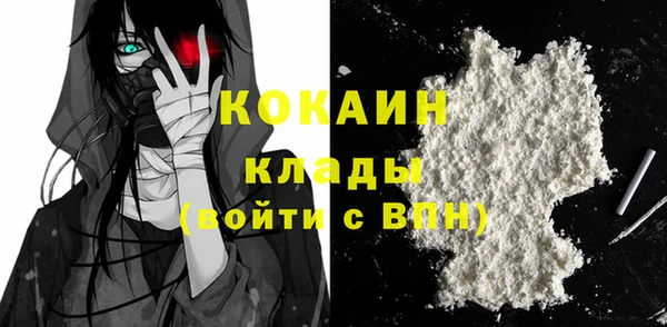 бошки Инта