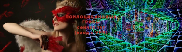 ALPHA PVP Инсар