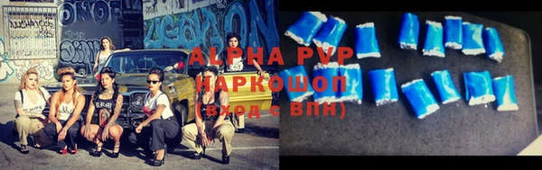 гашик Иннополис