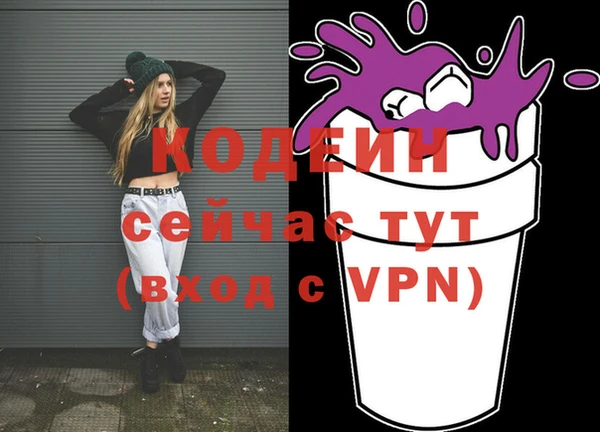 бошки Инта
