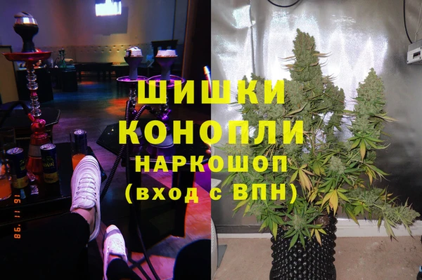 ALPHA PVP Инсар