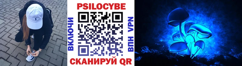 Псилоцибиновые грибы Cubensis  Купить закладки  Изобильный 
